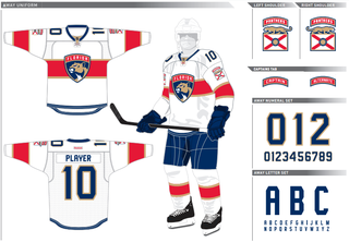 Illustration for article titled Florida Panthers Unveil New Logo And Jerseys